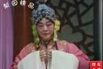 秦雪梅 全场戏下载