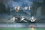 十大告 高清全集