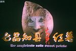 七品知县卖红薯 超清版