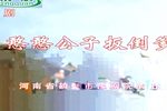 憨憨公子扳倒爹 高清全集