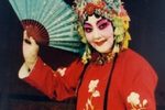 花打朝 上海版