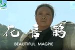 花喜鹊 高清全集