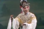 白蛇传 1980年 实况录像下载