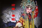 探阴山 选场