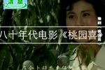 桃园喜 八十年代  老电影