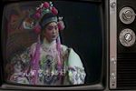 打金枝 1980年