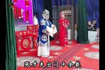 桃花庵 九尽春回杏花开