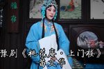 桃花庵 上门楼