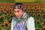 懒大嫂下载