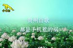 都是手机惹的祸