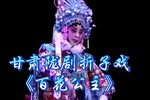 百花公主下载