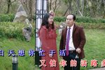 爱情歌下载