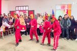 十二月采花