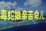 狠毒母亲可怜儿 全剧 高清修复版