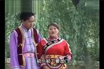 路边野花不要采