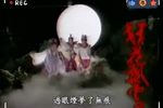 狂花飘云梦 16—35集