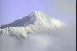 蛇郎君 全剧下载