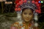 薛丁山救五美 第16集