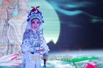 秦香莲 第3集