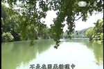 菩提禅心 2013年