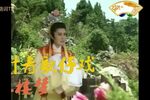 红楼梦 叶青歌仔戏版