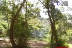 红尘奇英 第7部第1集