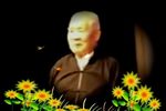 盘店 音频景音配像