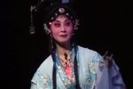 黛玉葬花 折子戏下载