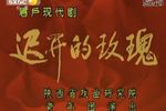 迟开的玫瑰