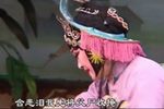 游龟山