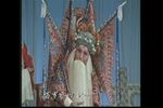 金沙滩·舍子·点子 全折