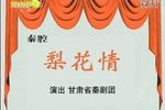 梨花情下载