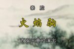 火焰驹 CCTV空中剧院