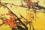 杨门女将下载