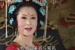 窦娥冤 全本下载
