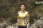 康亚婵个人演唱专辑 高清
