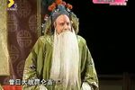 打金枝（又名大拜寿） 标清