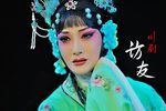 柳荫记 · 访友