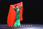 峡江月 下