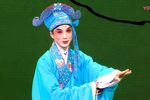 柳荫记 青春版下载