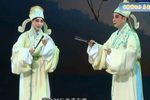 柳荫记下载