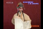 绣襦记 之一折