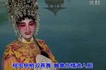双飞燕 雷剧下载