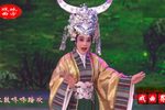 岭南圣母 选段