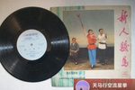 新人骏马 （二）下载