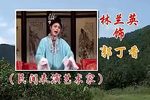 休丁香 全本下载