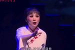 铡刀下的红梅 唱段
