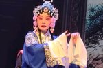 穆桂英挂帅 学员版下载