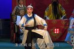 潘杨讼下载