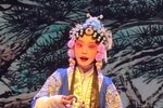 穆桂英挂帅 学员版